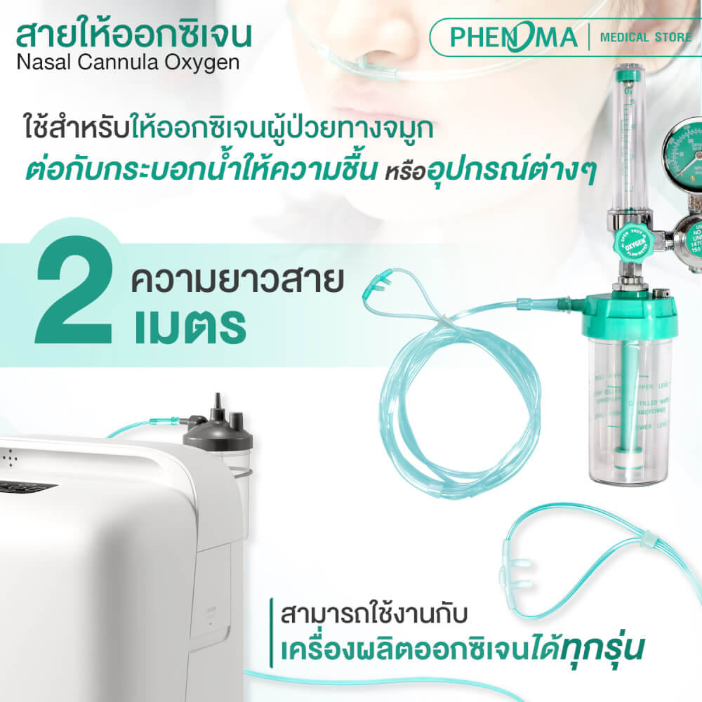 สายให้ออกซิเจนทางจมูกสำหรับผู้ใหญ่ PHENOMA